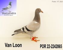 POR 22-2242065